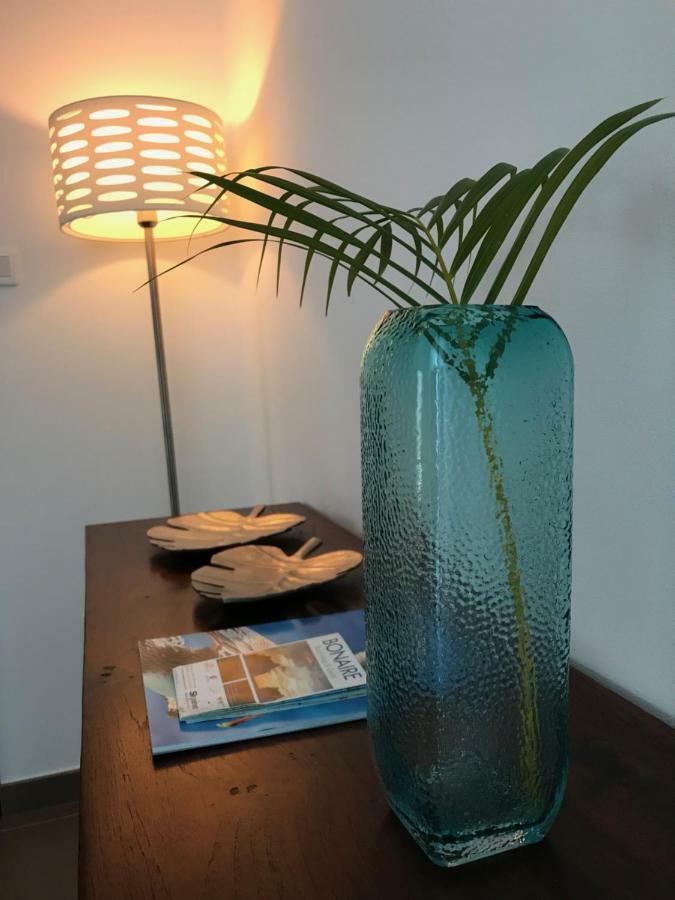 B&B Kas Chuchubi 克拉伦代克 外观 照片